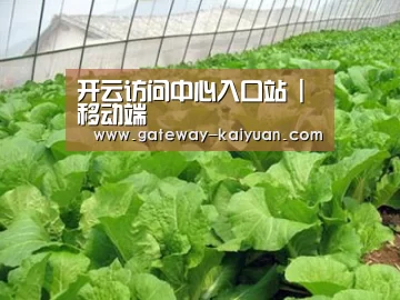 种植基地一