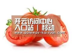 产品名称四