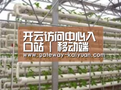 环境展示六