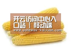产品名称五