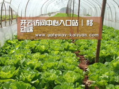 种植基地五