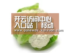 产品名称九