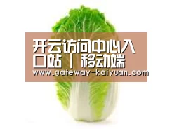 产品名称一