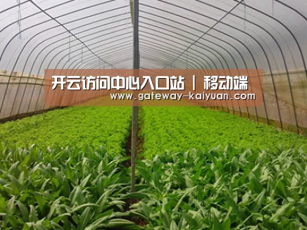 种植基地四