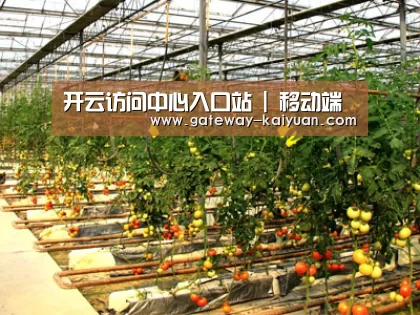 种植基地二