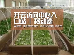 环境展示五