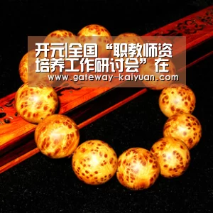 开元|全国“职教师资培养工作研讨会”在江西科技师范学院举行(图1) 开元棋牌官网