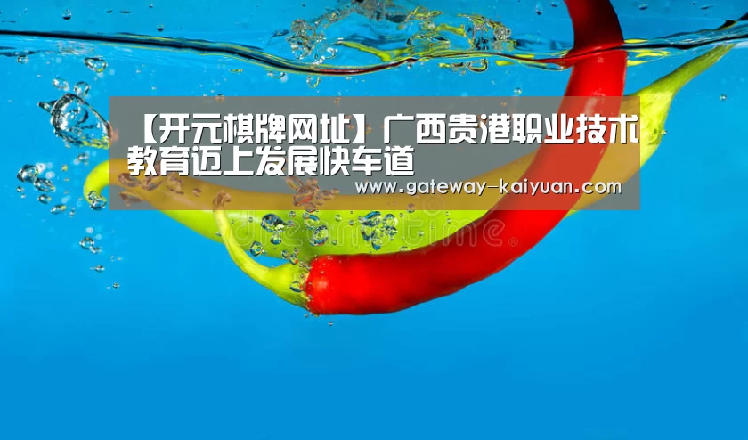 开元棋牌网址